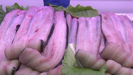 여름 보양식은 삼계탕?...전복, 장어도 있어요 / YTN