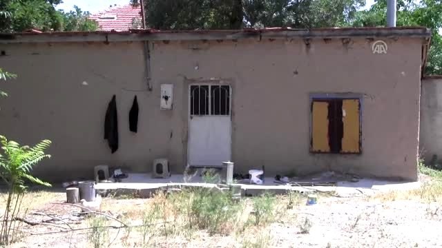 Konyalı Ayşe teyzenin geçim kaynağı koyunları çalındı - KONYA