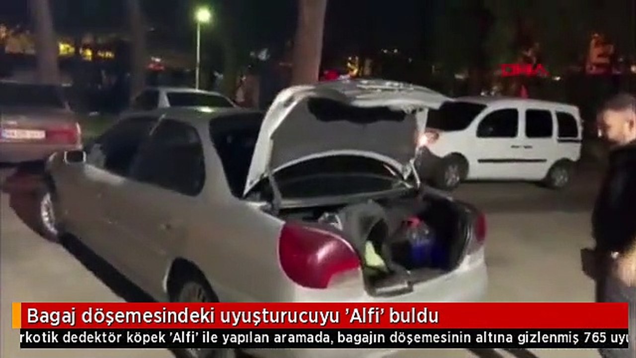 Bagaj döşemesindeki uyuşturucuyu 'Alfi' buldu