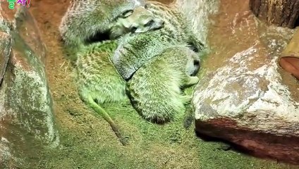 덕양구출장타이≓덕양구출장안마 -후불100%ョØ1ØE2659E1768｛카톡KP93｝ 덕양구전지역출장안마 덕양구오피걸 덕양구출장마사지 덕양구안마 덕양구출장마사지 덕양구콜걸샵⊙◈
