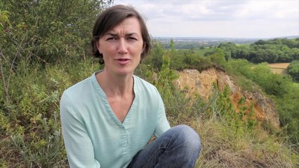 Mélanie Pfister, viticultrice à Dahlenheim pour son Grand cru Engelberg.