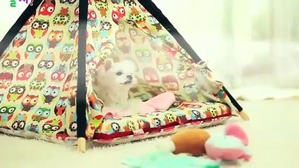 부안출장아로마≑부안출장안마 -후불100%ョØ1ØE6814E3375｛카톡NS95｝ 부안전지역출장안마 부안오피걸 부안출장마사지 부안안마 부안출장마사지 부안콜걸샵ŧŋŉ