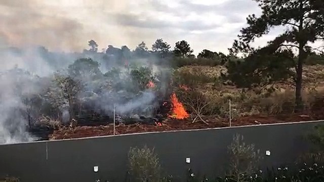 Incêndio ambiental gera transtornos a moradores no Pioneiros Catarinenses