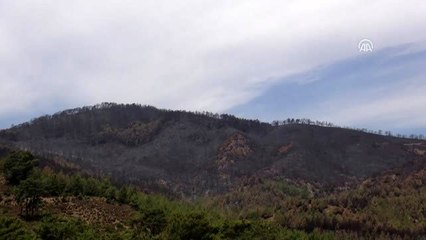 Dalaman'da çıkıp Fethiye'ye sıçrayan yangın söndürüldü