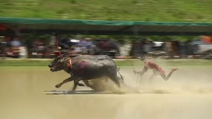 Una carrera para celebrar el comienzo del duro trabajo en el campo tailandés