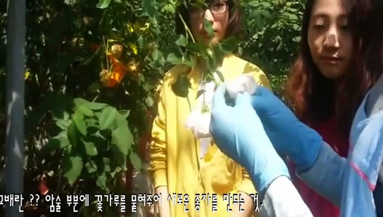 분당출장아로마≑분당출장안마 -후불100%ョØ1ØA7685A6221｛카톡MGM1472｝ 분당전지역출장안마 분당오피걸 분당출장마사지 분당안마 분당출장마사지 분당콜걸샵≪≫√