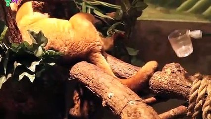 보령출장안마 -후불100%ョØ7ØS7301S9649｛카톡LA666｝ 보령전지역출장안마 보령오피걸 보령출장마사지 보령안마 보령출장마사지 보령콜걸샵ЧШЩ