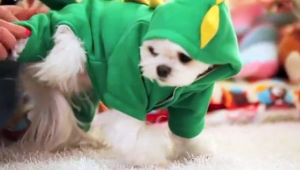 당진출장안마 -후불100%ョØ1ØE6706E9275｛카톡FX24｝ 당진전지역출장안마 당진오피걸 당진출장마사지 당진안마 당진출장마사지 당진콜걸샵⊙◈