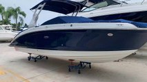 2019 Sea Ray 270 SDX OB for sale at MarineMax Pompano Beach