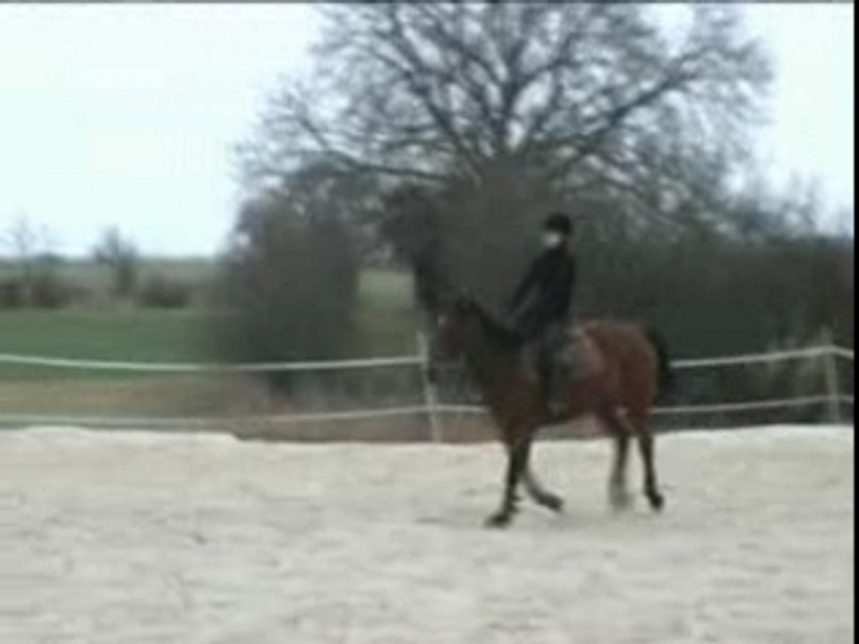 20080120_juligi