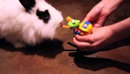 의창구출장안마 -후불100%ョØ1ØA7685A6221｛카톡PP888｝ 의창구전지역출장안마 의창구오피걸 의창구출장마사지 의창구안마 의창구출장마사지 의창구콜걸샵∏∨⇔