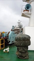 Dolphins Race Alongside Boat