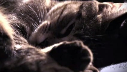 거창출장아로마≑거창출장안마 -후불100%ョØ1ØE7362E3210｛카톡RQ43｝ 거창전지역출장안마 거창오피걸 거창출장마사지 거창안마 거창출장마사지 거창콜걸샵※≒℃