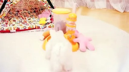 하동출장아로마≑하동출장안마 -후불100%ョØ1ØS2671S8135｛카톡AQ52｝ 하동전지역출장안마 하동오피걸 하동출장마사지 하동안마 하동출장마사지 하동콜걸샵ヴヵヶ
