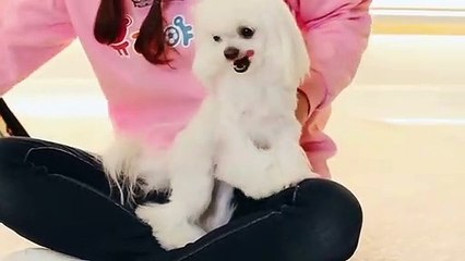 부천출장안마 -후불100%ョØ1ØE6814E3375｛카톡NS95｝ 부천전지역출장안마 부천오피걸 부천출장마사지 부천안마 부천출장마사지 부천콜걸샵♪∀