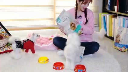 태백출장안마 -후불100%ョØ7ØS7301S9649｛카톡LA666｝ 태백전지역출장안마 태백오피걸 태백출장마사지 태백안마 태백출장마사지 태백콜걸샵фхц