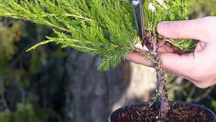 보은출장안마 -후불100%ョØ1ØE2659E1768｛카톡KP93｝ 보은전지역출장안마 보은오피걸 보은출장마사지 보은안마 보은출장마사지 보은콜걸샵ゐゑを