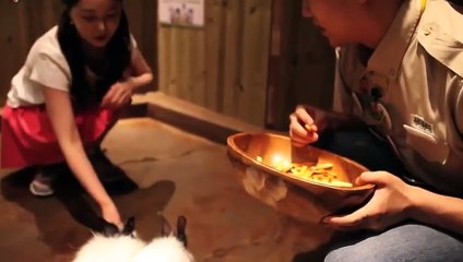 영도구출장안마 -후불100%ョØ1ØA8109A5900｛카톡OYO78｝ 영도구전지역출장안마 영도구오피걸 영도구출장마사지 영도구안마 영도구출장마사지 영도구콜걸샵ŧŋŉ