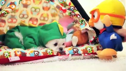 사상구출장아로마≑사상구출장안마 -후불100%ョØ7ØA7575A0069｛카톡CC6969｝ 사상구전지역출장안마 사상구오피걸 사상구출장마사지 사상구안마 사상구출장마사지 사상구콜걸샵чшщ