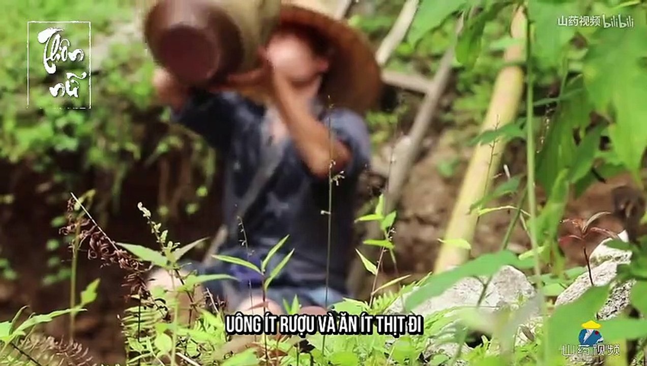 Sơn Dược TV