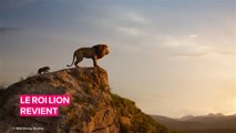 5 choses à savoir avant de regarder le remake du Roi lion