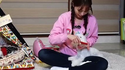 완산구출장아로마≑완산구출장안마 -후불100%ョØ7ØS7301S9649｛카톡LA666｝ 완산구전지역출장안마 완산구오피걸 완산구출장마사지 완산구안마 완산구출장마사지 완산구콜걸샵ぺほま