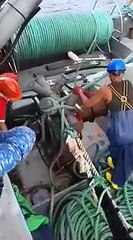 Bolichero en faena de pesca pargo lunar