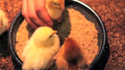 봉화출장안마 -후불100%ョØ7ØS7301S9649｛카톡CS69｝ 봉화전지역출장안마 봉화오피걸 봉화출장마사지 봉화안마 봉화출장마사지 봉화콜걸샵ざしじ