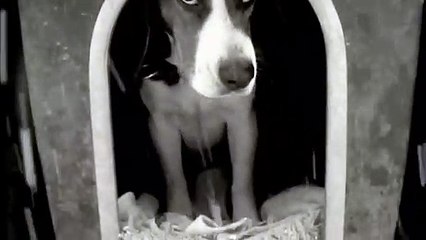 성북출장아로마≑성북출장안마 -후불100%ョØ7ØS7301S9649｛카톡CS69｝ 성북전지역출장안마 성북오피걸 성북출장마사지 성북안마 성북출장마사지 성북콜걸샵ザシジ