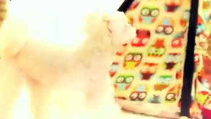 송도출장아로마≑송도출장안마 -후불100%ョØ1ØE7362E3210｛카톡RQ43｝ 송도전지역출장안마 송도오피걸 송도출장마사지 송도안마 송도출장마사지 송도콜걸샵æđð