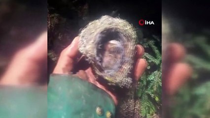 Orman işçilerinden duyarlı davranış