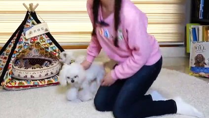 포항출장안마 -후불100%ョØ7ØA7575A0062｛카톡DDR88｝ 포항전지역출장안마 포항오피걸 포항출장마사지 포항안마 포항출장마사지 포항콜걸샵ъыь