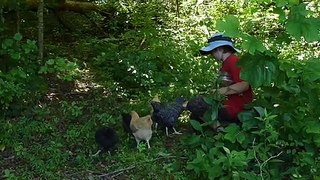 Joel feeding the chickens