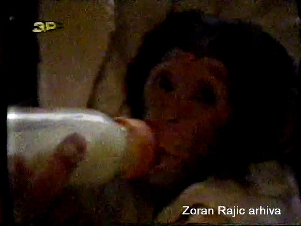 1992. 02. Simpanza zorica
