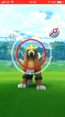 #ENTEI #SHINY #pokemongo #entei #enteiraids #LIVE 1