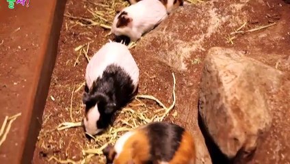 용산출장안마 -후불100%ョØ1ØA8109A5900｛카톡GD825｝ 용산전지역출장안마 용산오피걸 용산출장마사지 용산안마 용산출장마사지 용산콜걸샵лмн