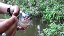 10 SCARY Fishing Videos Caught On Camera