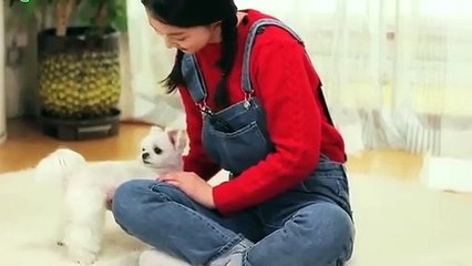 태백출장안마 -후불100%ョØ1ØA2997A5327｛카톡KC789｝ 태백전지역출장안마 태백오피걸 태백출장마사지 태백안마 태백출장마사지 태백콜걸샵★●◎