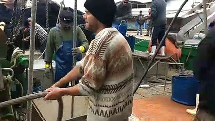 Ação conjunta resulta na apreensão de 150 toneladas de peixes
