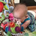 Funny babies annoying dogs - Cute dog