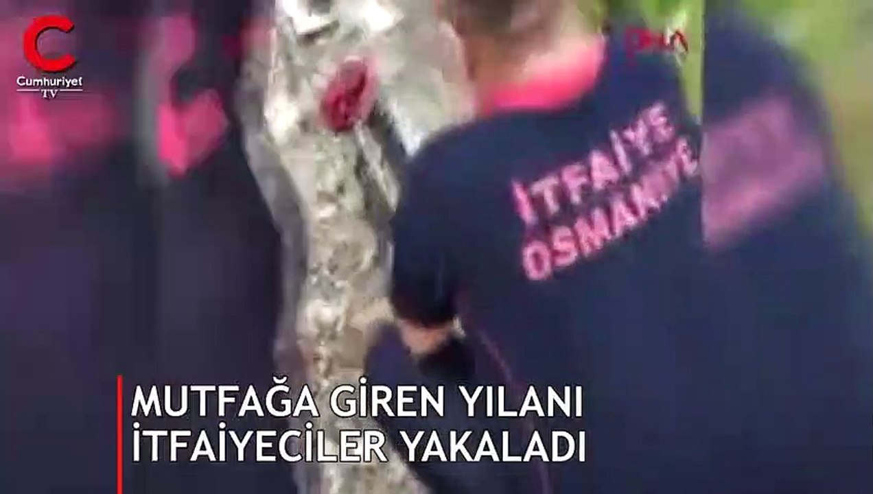 1 metre uzunluğundaki yılan, itfaiyecilere zor anlar yaşattı