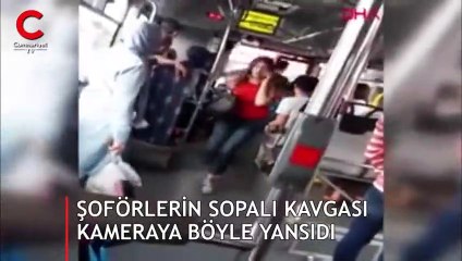 Papağana dondurma şakası gülümsetti