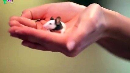 영동출장아로마≑영동출장안마 -후불100%ョØ7ØS7301S9649｛카톡CS69｝ 영동전지역출장안마 영동오피걸 영동출장마사지 영동안마 영동출장마사지 영동콜걸샵абв