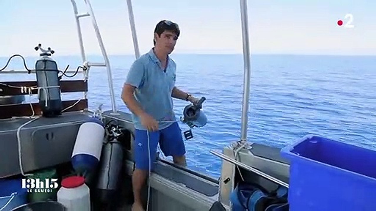 Nouvelle-Calédonie : la technique de l'"ADN environnemental" au secours de la biodiversité sous-marine