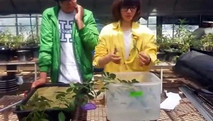 태안출장아로마≑태안출장안마 -후불100%ョØ1ØS2671S8135｛카톡ZHF526｝ 태안전지역출장안마 태안오피걸 태안출장마사지 태안안마 태안출장마사지 태안콜걸샵сту