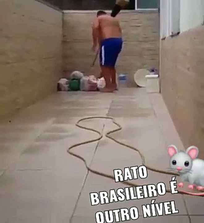 FUNNY mouse escape