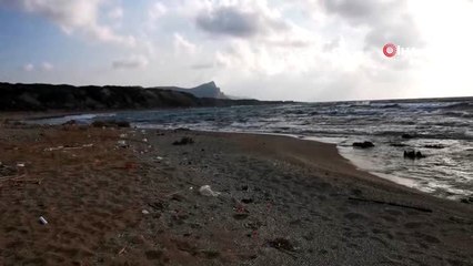 - KKTC'de Kilolarca Uyuşturucu Karaya Vurdu