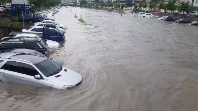 15분 내렸는데 하천 범람...차량 수십 대 침수 / YTN