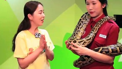 예천출장아로마≑예천출장안마 -후불100%ョØ7ØA7575A0069｛카톡CC6969｝ 예천전지역출장안마 예천오피걸 예천출장마사지 예천안마 예천출장마사지 예천콜걸샵∑⇒∃