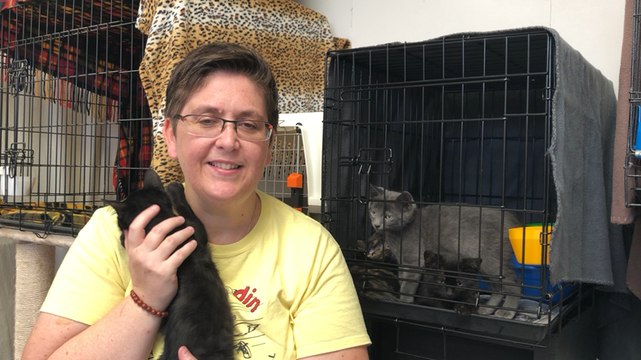 Les Mistoufles cherchent des familles d’accueil